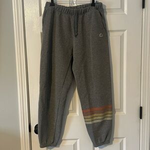 Patagonia Men’s size M line logo stripe uprisal sweatpants